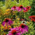 Family Flower House *