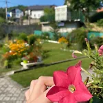Prázdninový dům Family Flower House *