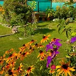 Family Flower House * Sarajevo