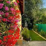 Family Flower House Prázdninový dům Sarajevo