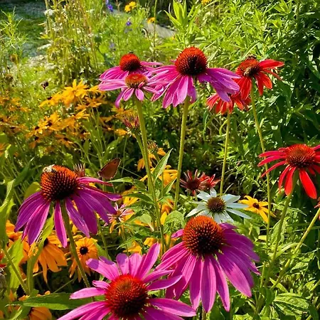Family Flower House *