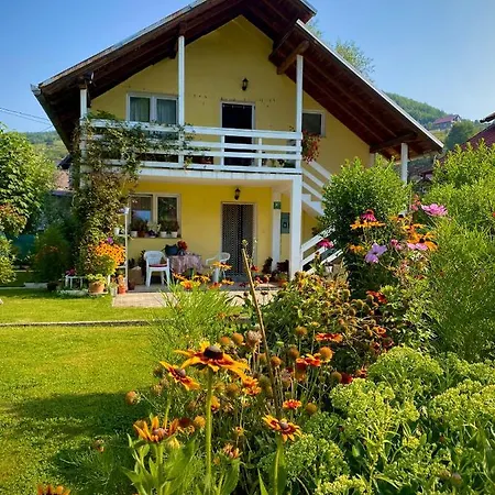 Family Flower House