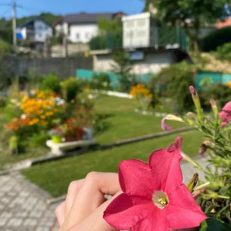 Vakantiehuis Family Flower House *