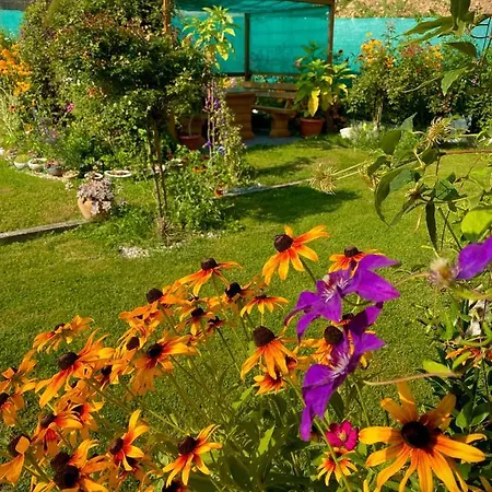 Family Flower House * Sarajevo