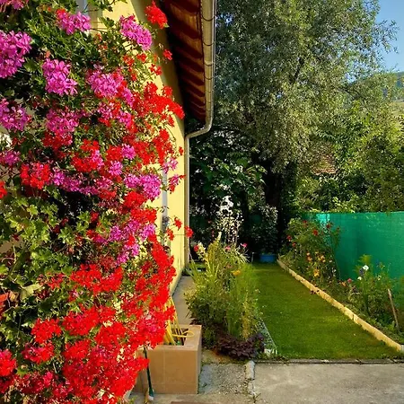 Family Flower House Vakantiehuis Sarajevo