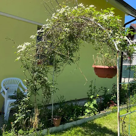 Vakantiehuis Family Flower House *
