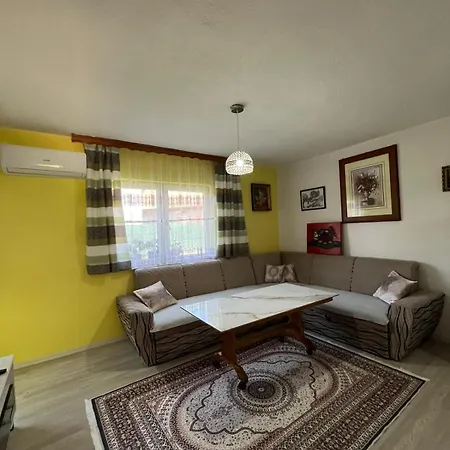 Family Flower House *